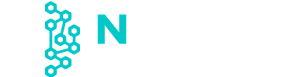 N-Sight Web Services
